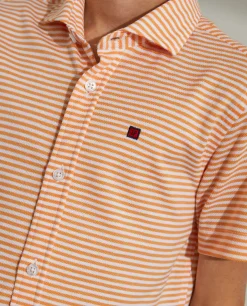 LION OF PORCHES Camisas^Camisa
