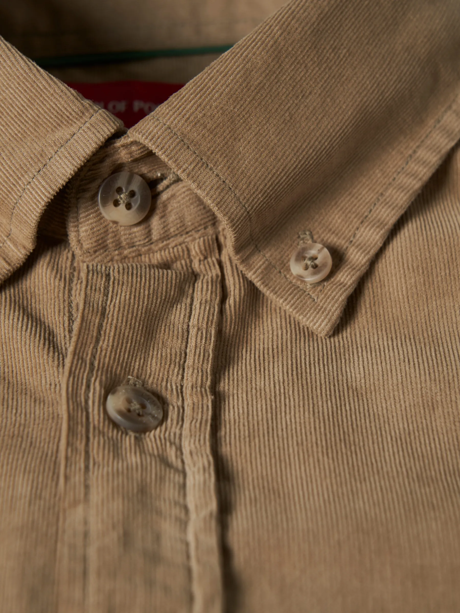 LION OF PORCHES Regular Fit^Camisa bombazine regular fit