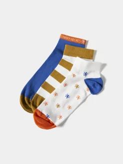 LION OF PORCHES Meias / Underwear^Pack de meias soquetes coloridas