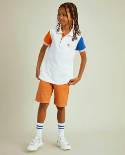 LION OF PORCHES Polos^Polo piqué em algodão tricolor
