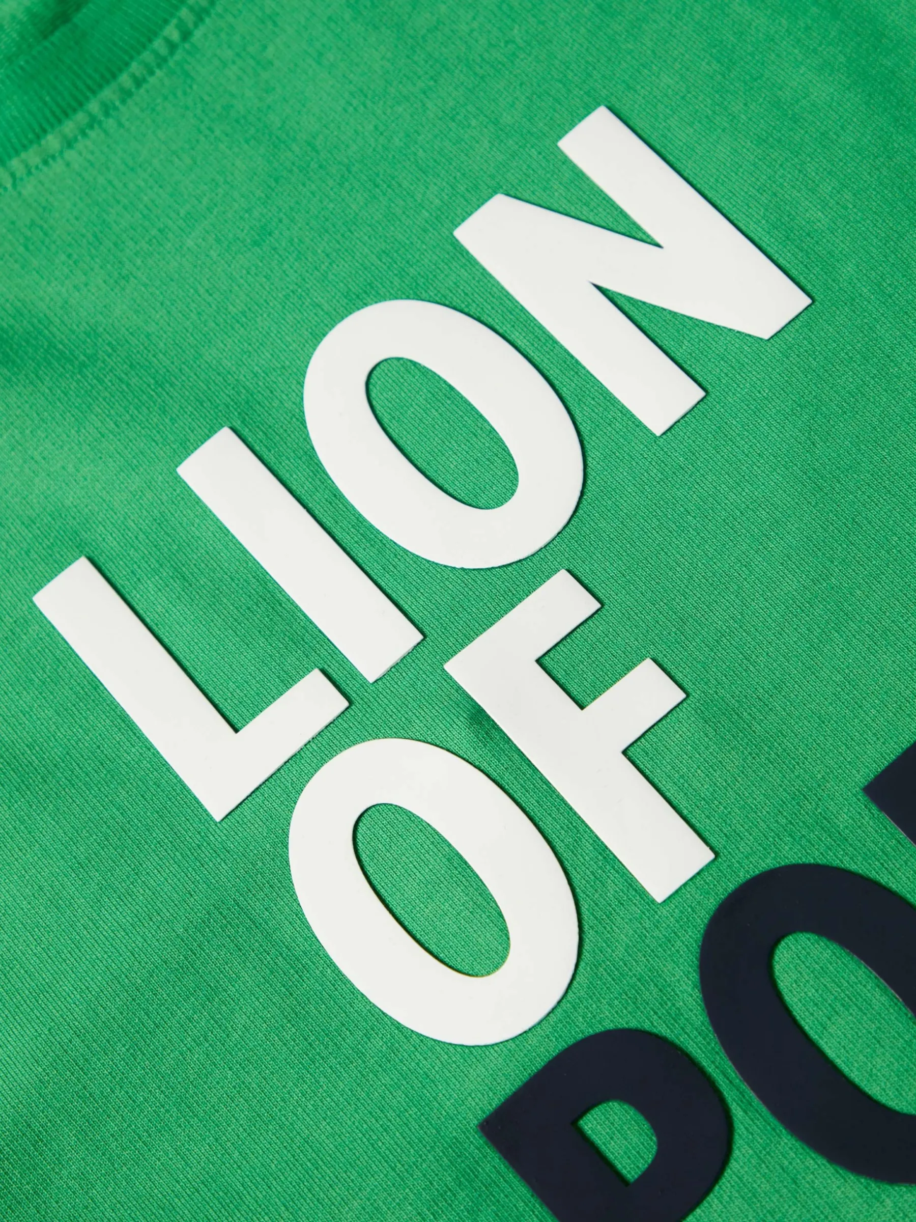 LION OF PORCHES Sweats^Sweat
