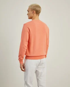 LION OF PORCHES Sweats^Sweater básica de algodão
