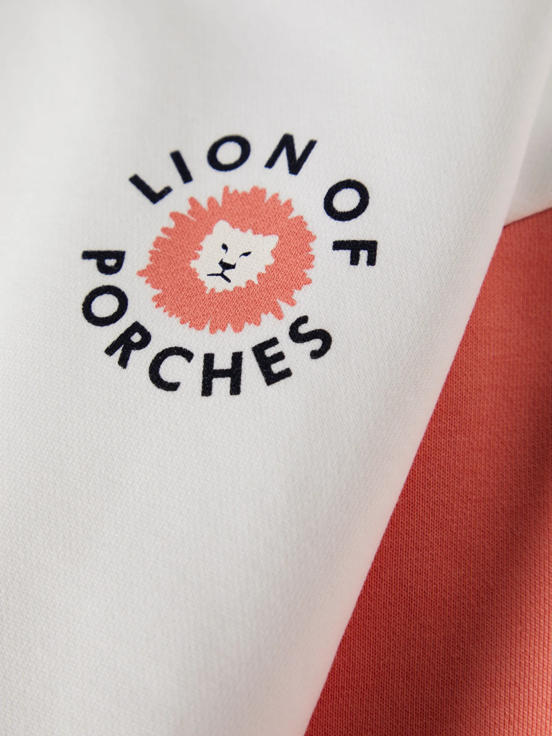 LION OF PORCHES Camisolas^Sweater colorblock em algodão
