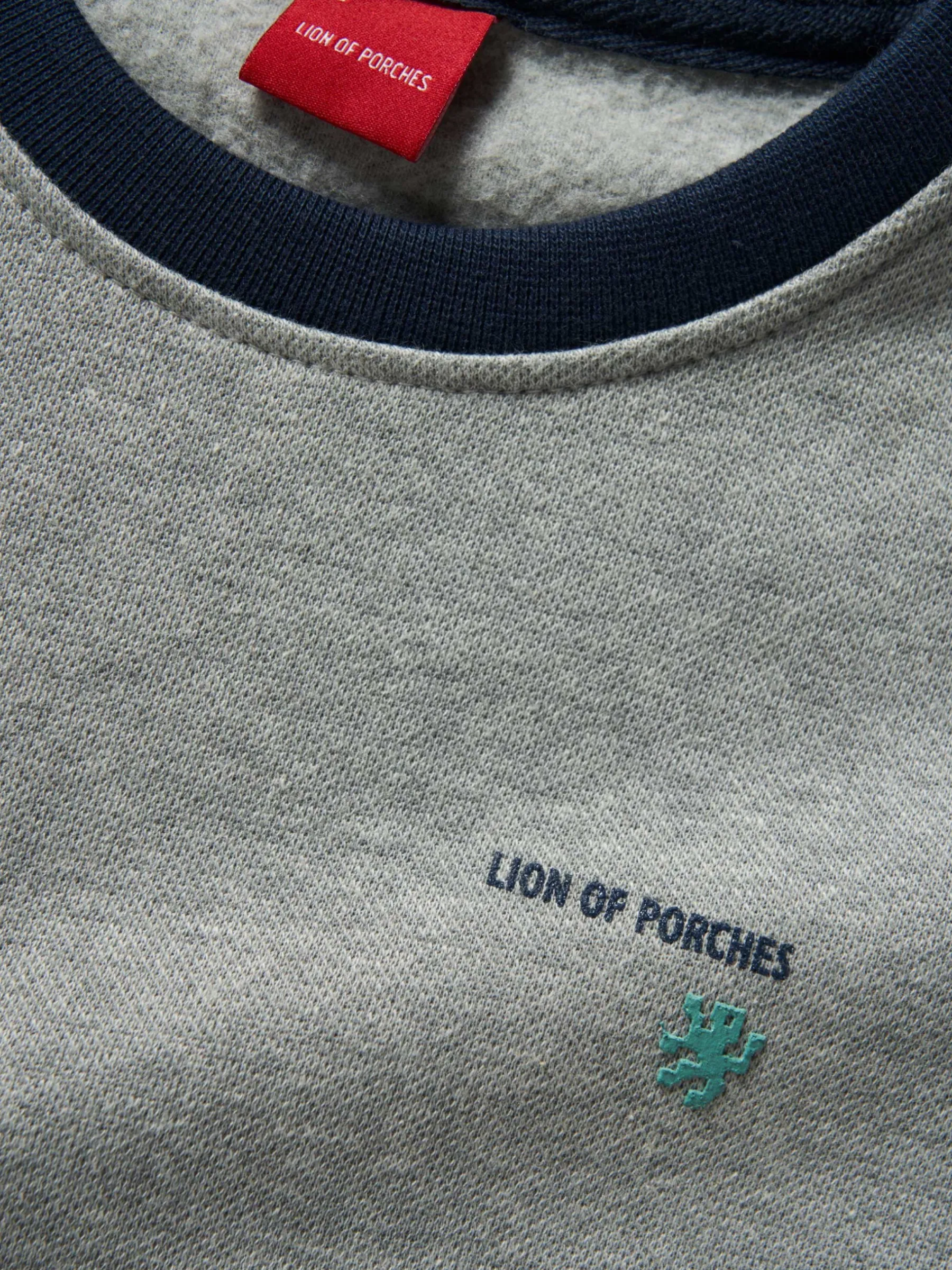 LION OF PORCHES Camisolas^Sweater de algodão color block