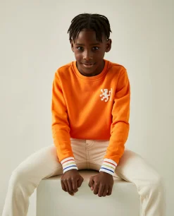LION OF PORCHES Sweats^Sweater de algodão com riscas tricolor