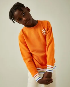LION OF PORCHES Sweats^Sweater de algodão com riscas tricolor