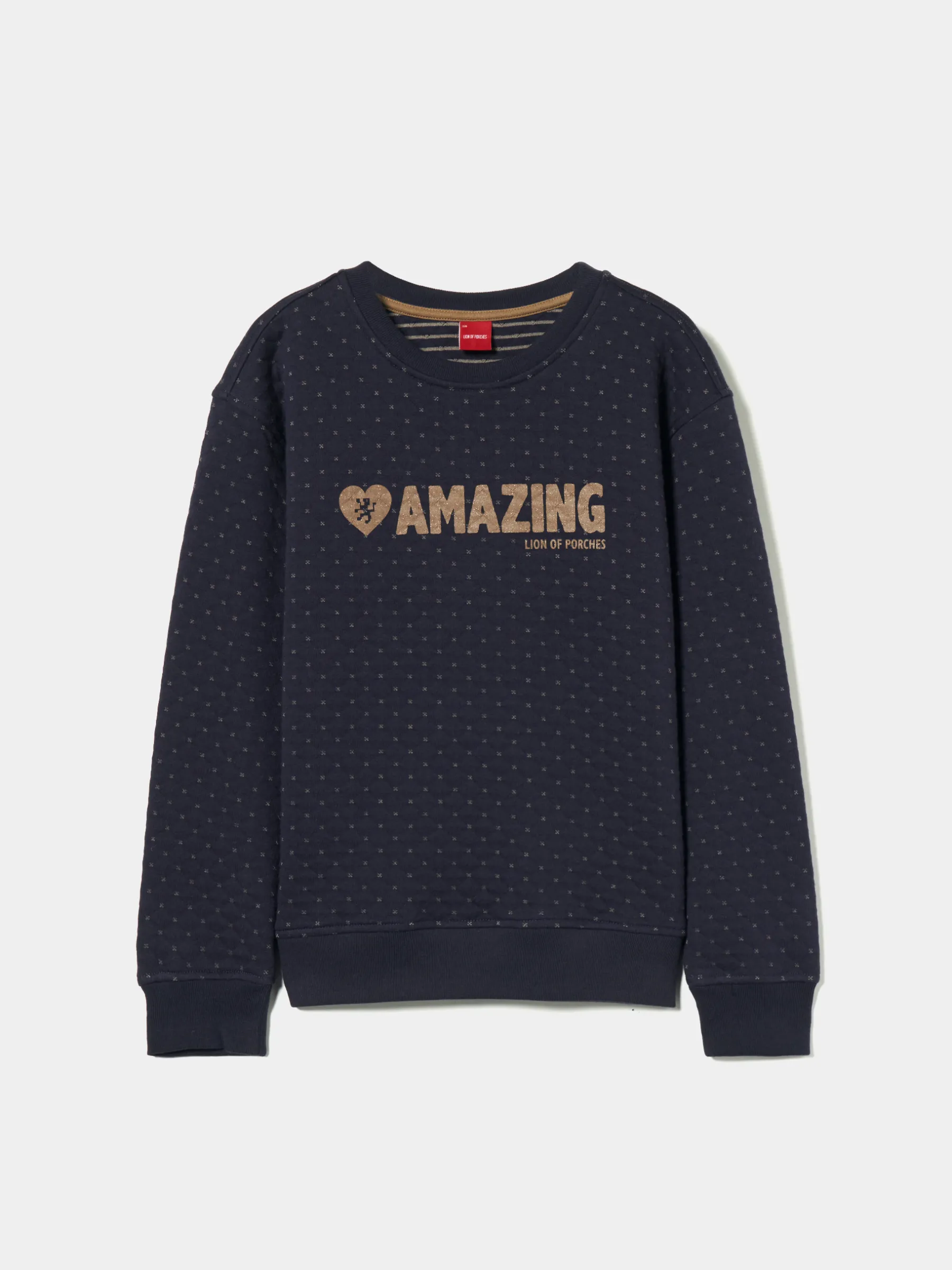 LION OF PORCHES Camisolas^Sweater de malha com estampado