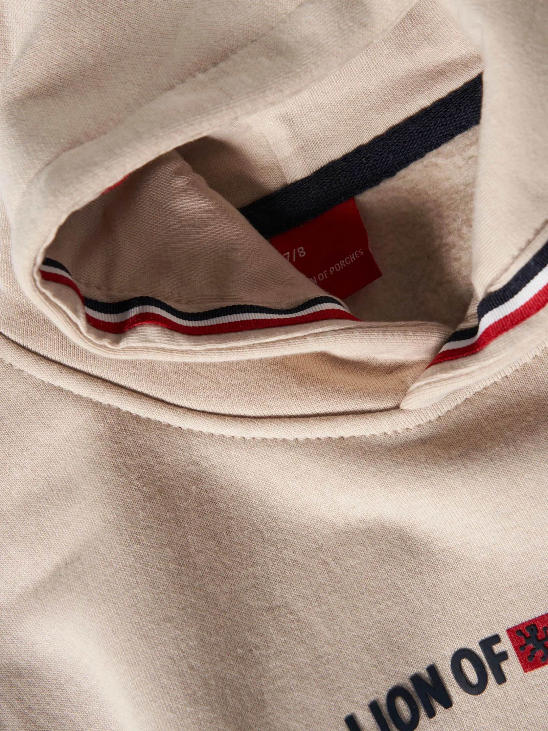 LION OF PORCHES Sweats^Sweater com capuz