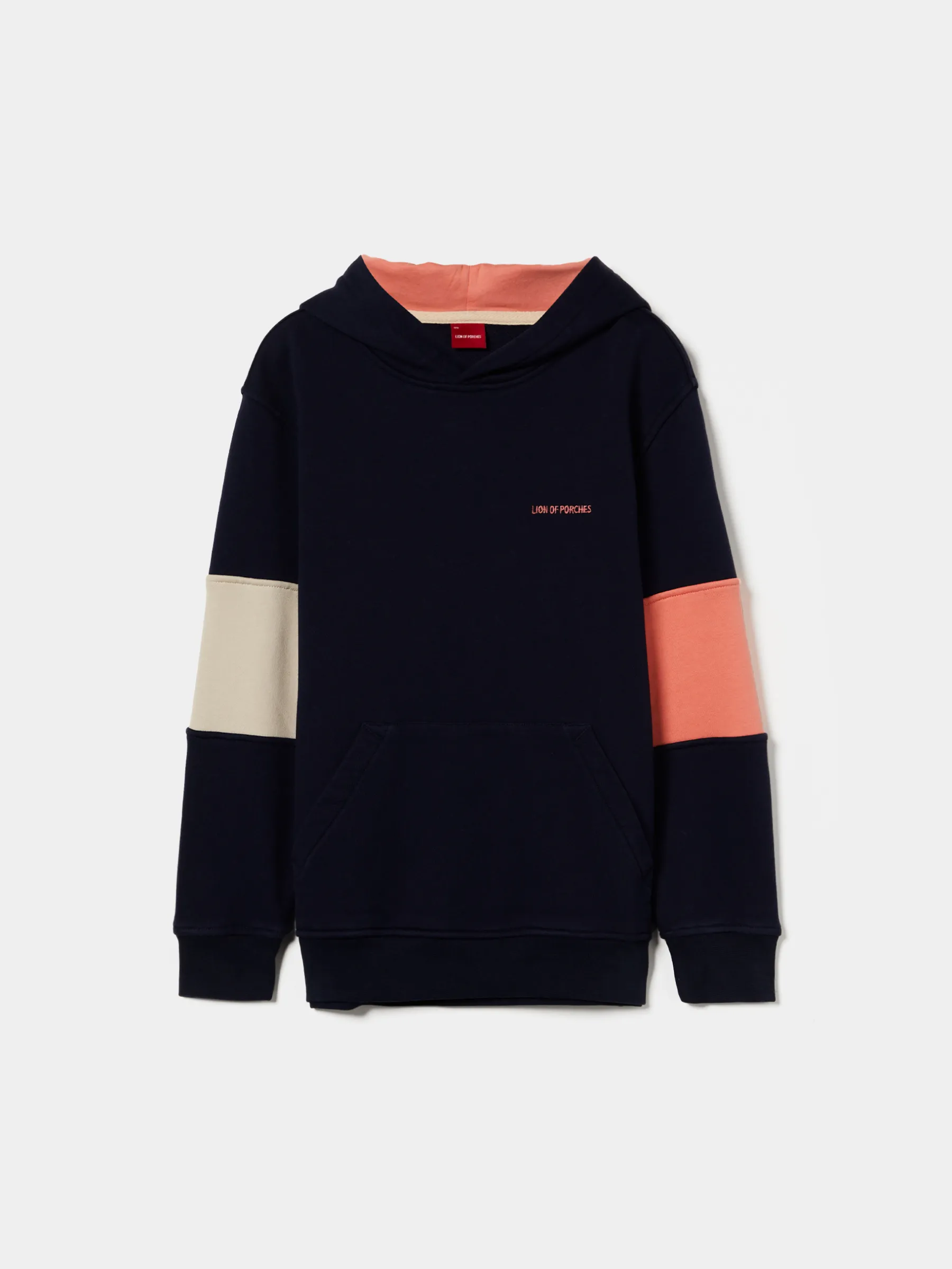 LION OF PORCHES Sweats^Sweater tricolor com capuz