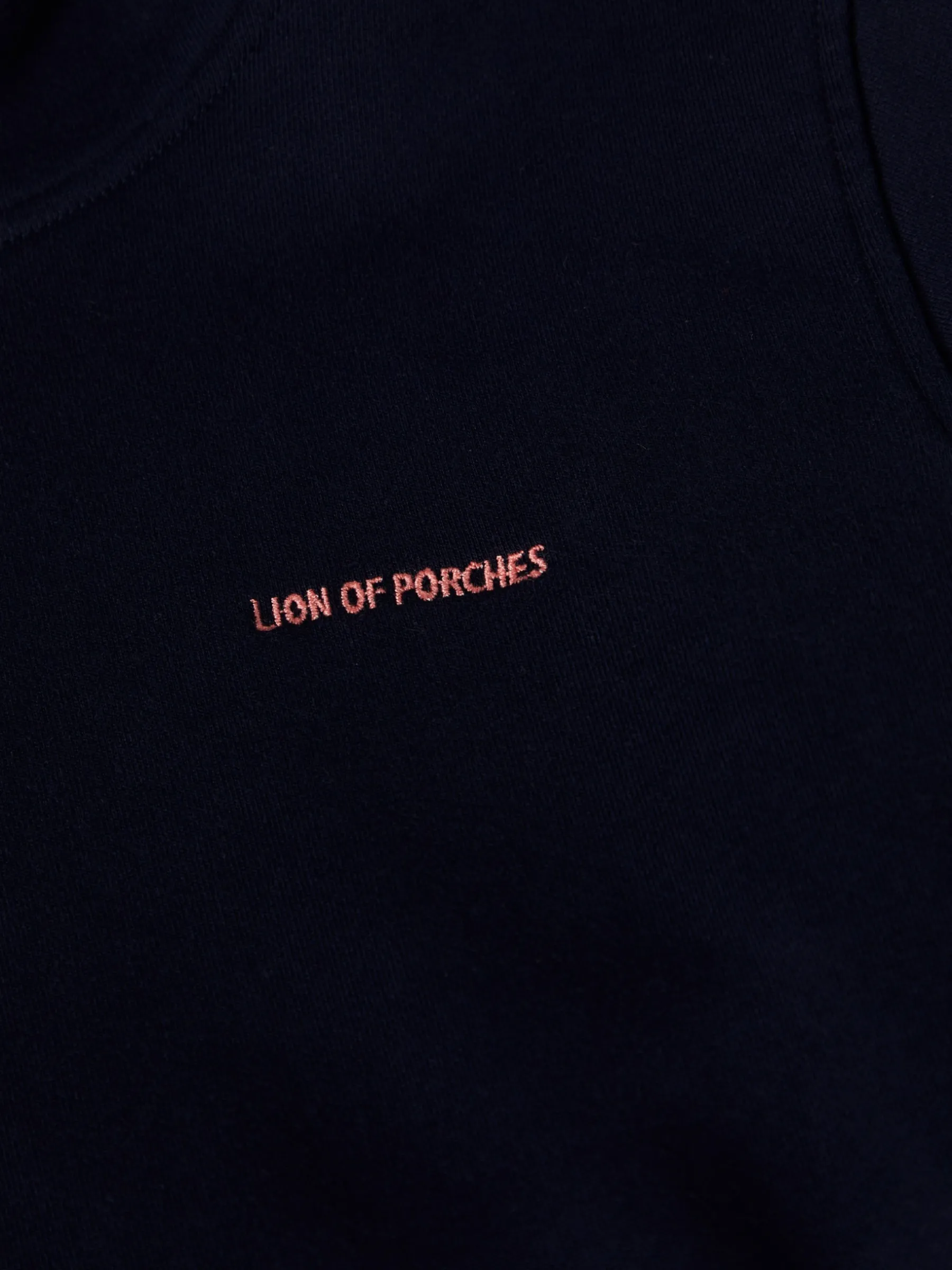 LION OF PORCHES Sweats^Sweater tricolor com capuz