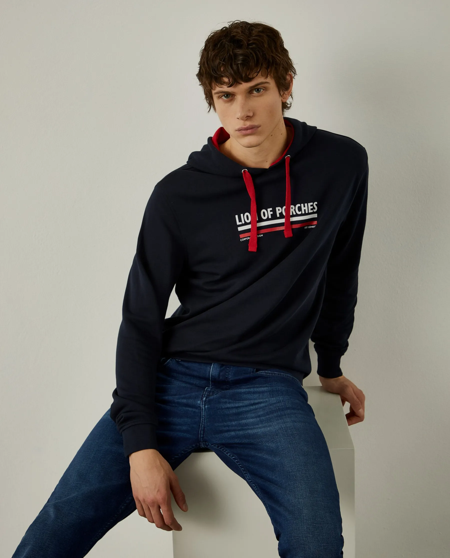 LION OF PORCHES Sweats^Sweatshirt de algodão com capuz